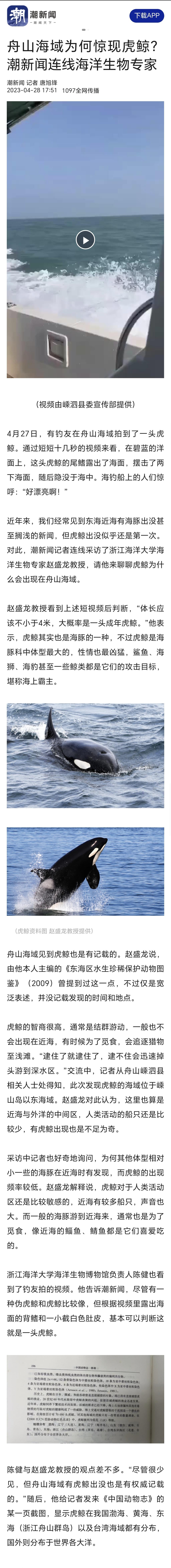 20230428潮新闻舟山海域为何惊现虎鲸?潮新闻连线海洋生物专家.jpg