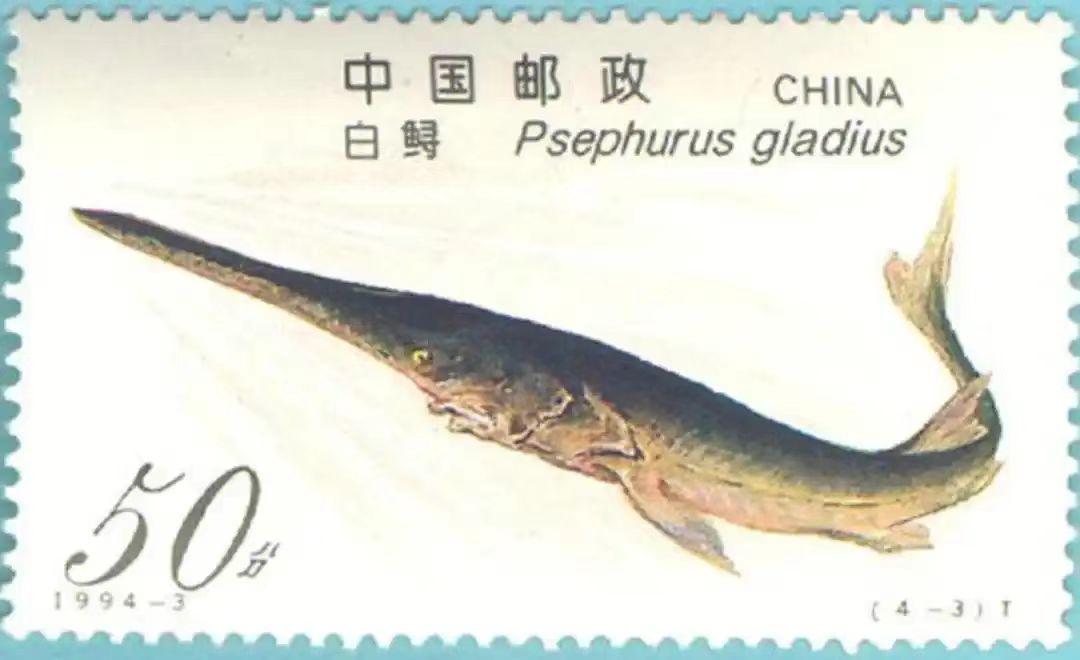 微信图片_20241114202750.jpg