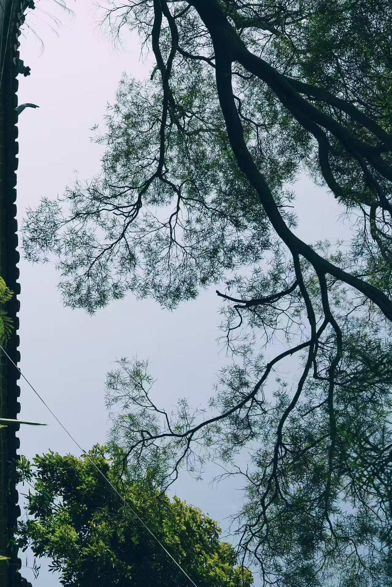 微信图片_20250308210631.jpg