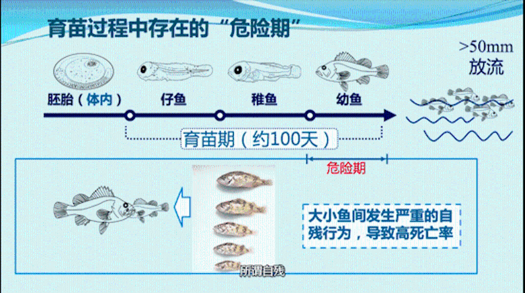 640.jpg 图片