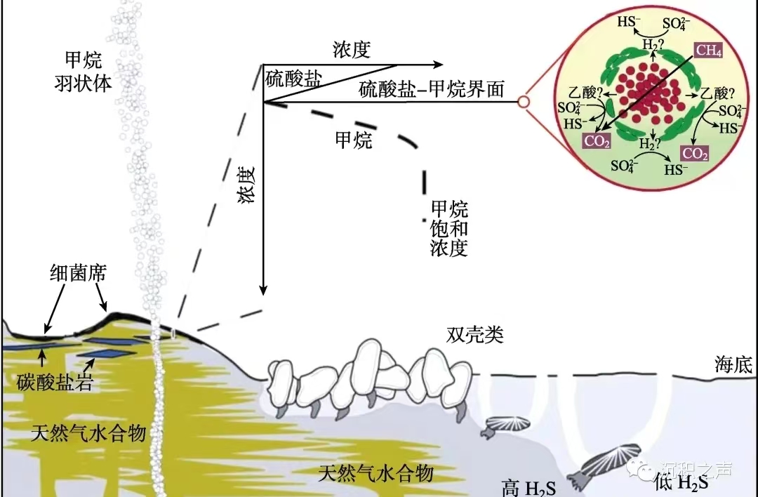 46a1cd4268c908f2ed7cacf79ad9a1f.jpg 46a1cd4268c908f2ed7cacf79ad9a1f.jpg