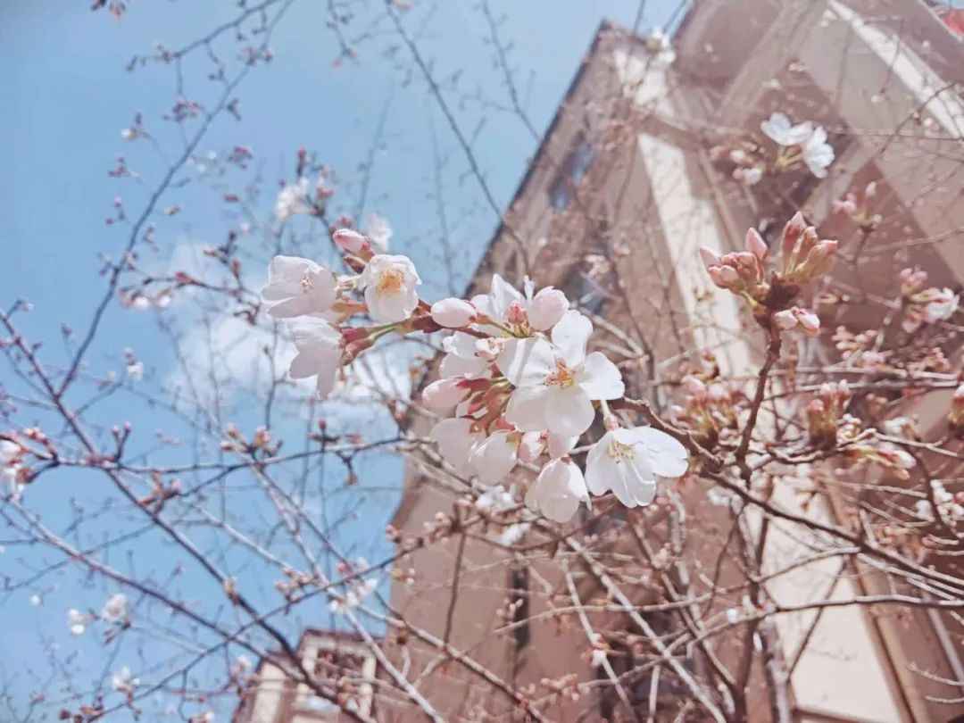 640.jpg 图片