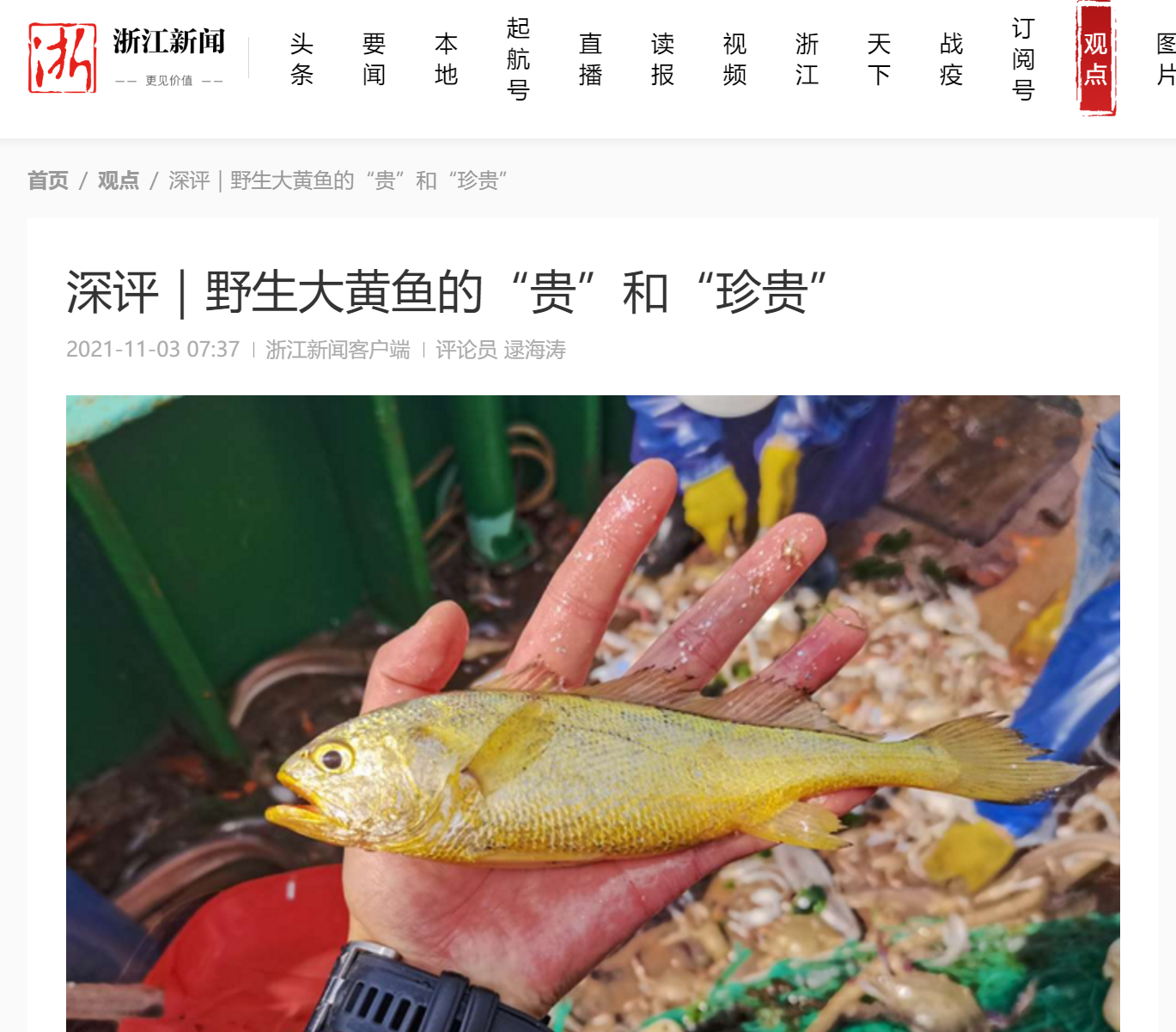 浙江新闻.PNG