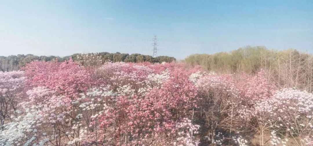 640.jpg 图片