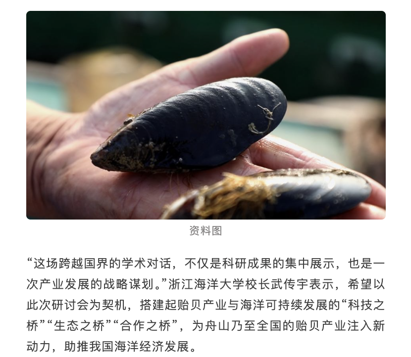 20250702 竞舟客户端 聚焦舟山贻贝,多国共探海洋可持续发展“中国方案”4.png