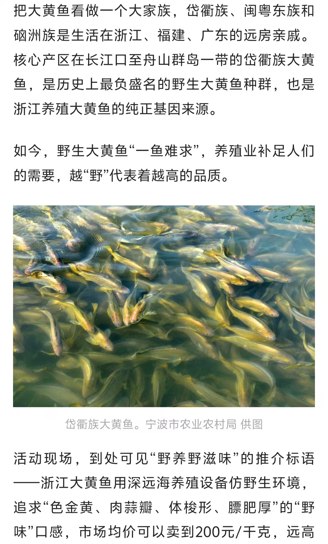 20250930 潮新闻客户端 浙江大黄鱼，目标250亿！5.jpg