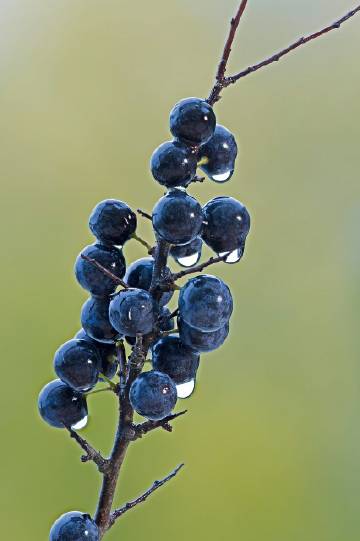 62d8d0dcgy1ht9l486ah5j20no0zktct.jpg 62d8d0dcgy1ht9l486ah5j20no0zktct.jpg