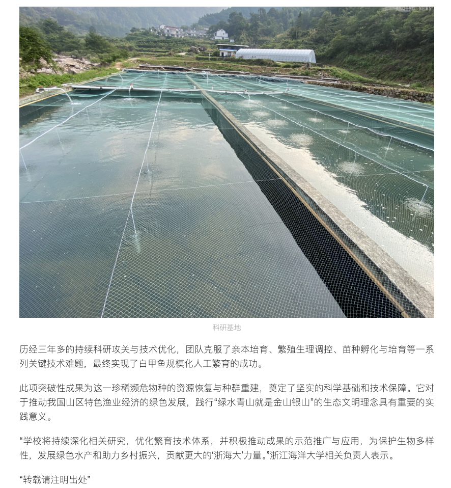 20250709 潮新闻客户端 浙海大团队攻克二级国宝“白甲鱼”人工繁育难题 首批培育30万尾优质鱼苗2.png