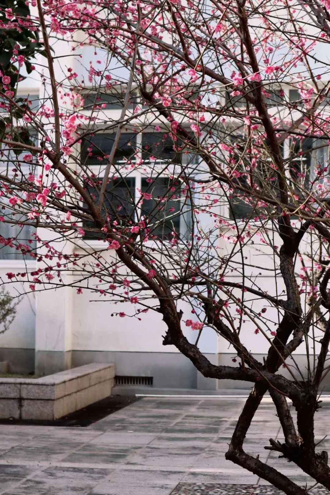 640.jpg 图片