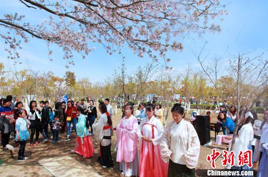 海上樱花烂漫正当其时浙海大“寓教于乐”美景成趣
